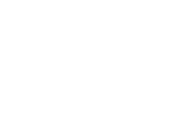 mccrometer